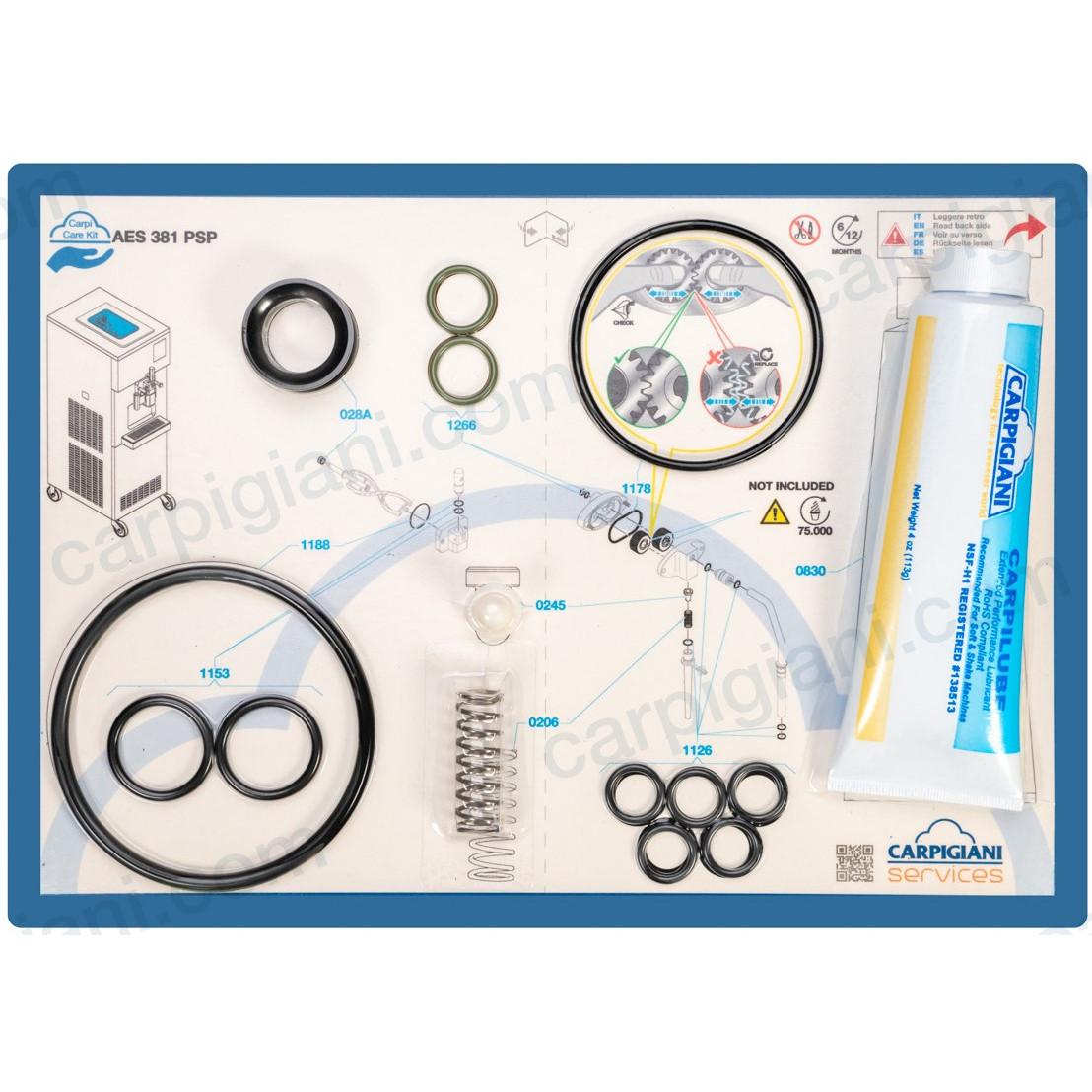Carpicare Kit AES 381 PSP